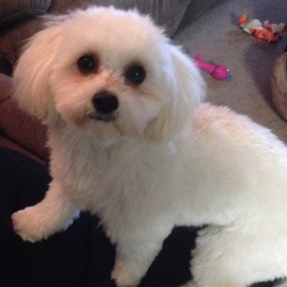 Meet your Posher, Nadia - Picture 2 of 3